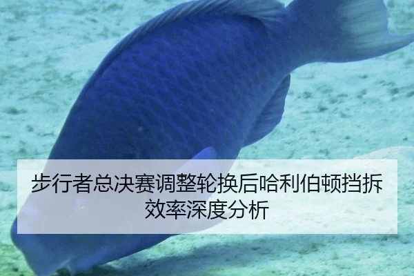 bu-xing-zhe-zong-jue-sai-tiao-zheng-lun-huan-hou-ha-li-bo-dun-dang-chai-xiao-lv-shen-du-fen-xi-2-180.jpg